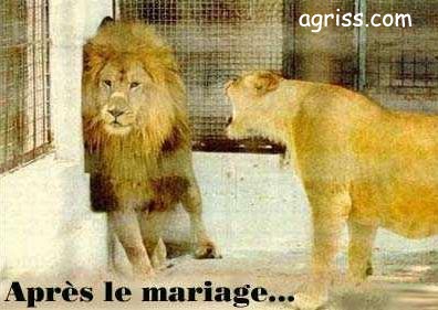 humour mariage